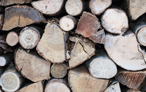 Picture of White Oak Firewood